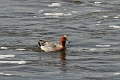 05 03 15_2368_edited-1